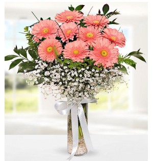 vazoda pembe gerbera